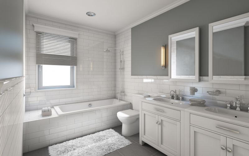 Bathroom Renovation - Winter